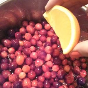 FiberLove Orange Cranberry Sauce Recipe